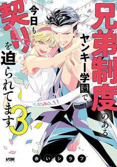 兄弟制度のあるヤンキー学園で、今日も契りを迫られてます 第3巻